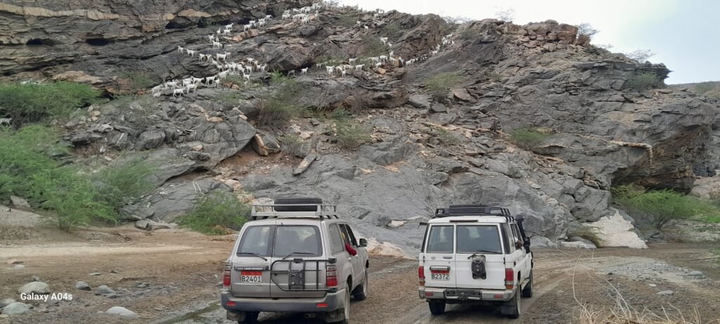 cars travelling eritrea landscape