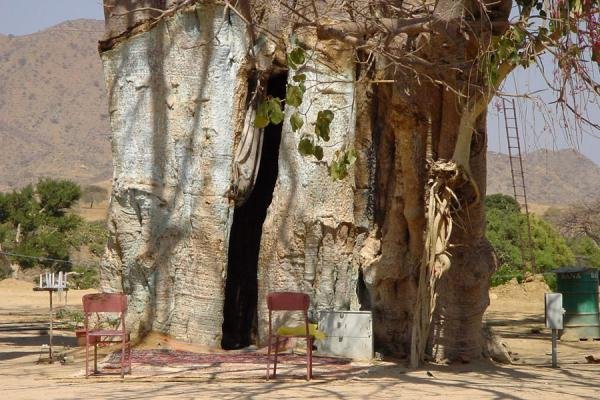 Mariam Dearit baobab shrine near Keren Eritrea